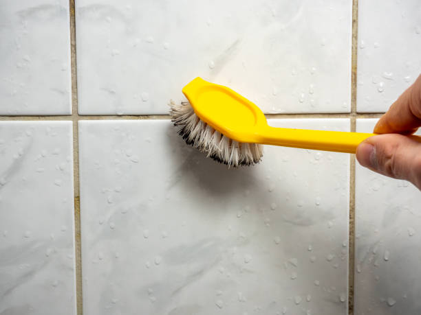 Best Professional Mold Removal  in Pleasanton, CA