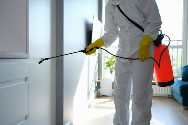 Best Mold Testing  in Pleasanton, CA