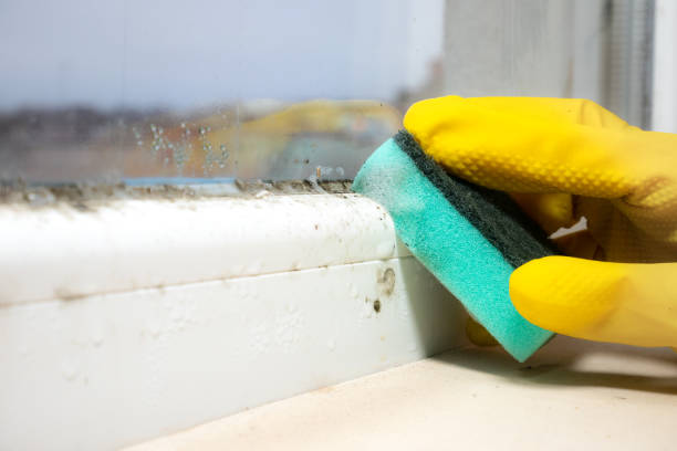 Best Crawl Space Mold Removal  in Pleasanton, CA