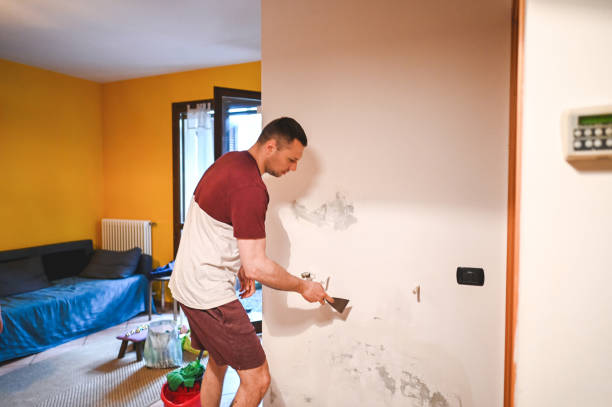 Best Certified Mold Removal  in Pleasanton, CA